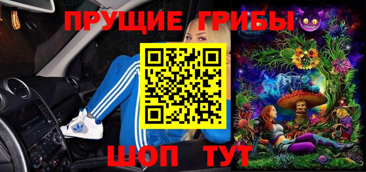 Верхняя Пышма  Галлюциногенные грибы прущие грибы  где найти наркотики  Вход с VPN 