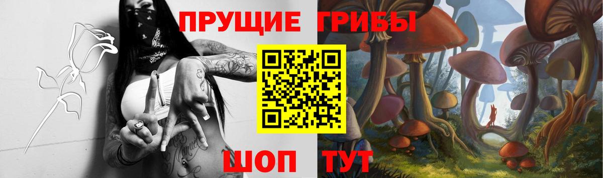 Галлюциногенные грибы GOLDEN TEACHER Верхняя Пышма